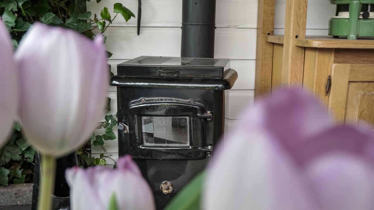 B&B Jardin - Schagen Kültér fotó